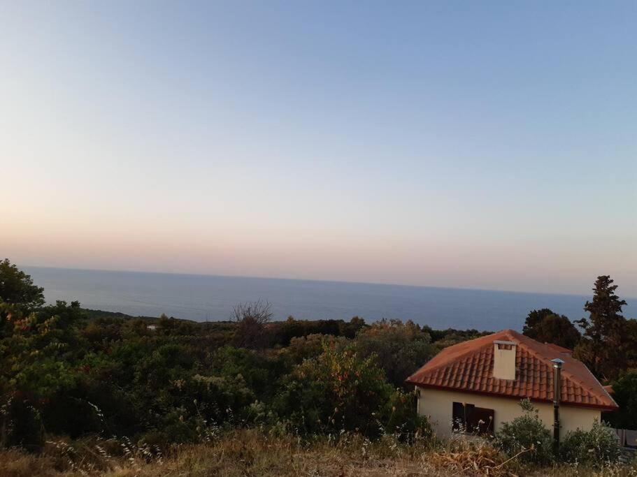Kouros Villa! Paltsi Pilion Экстерьер фото