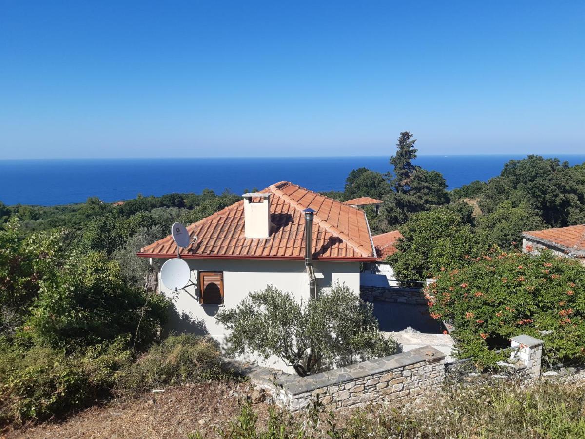 Kouros Villa! Paltsi Pilion Экстерьер фото