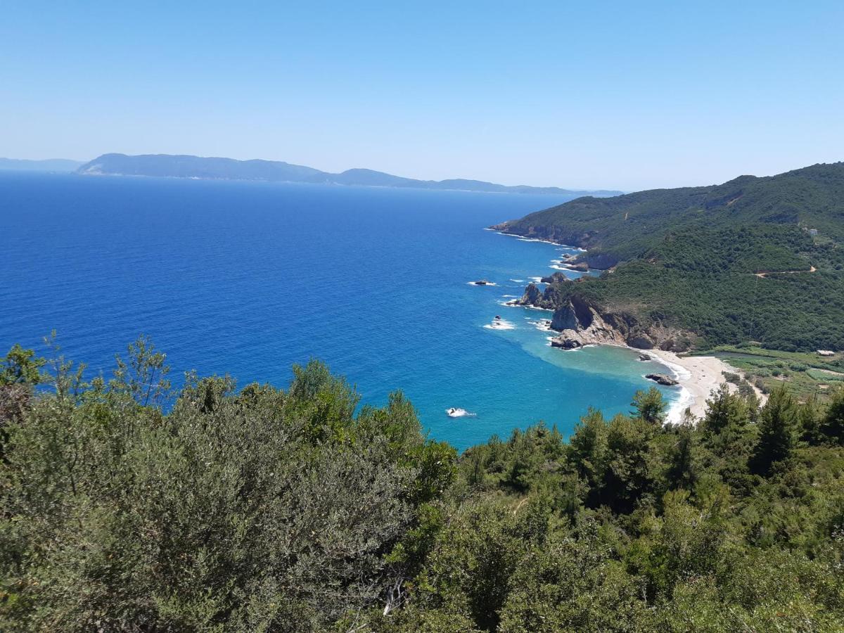 Kouros Villa! Paltsi Pilion Экстерьер фото
