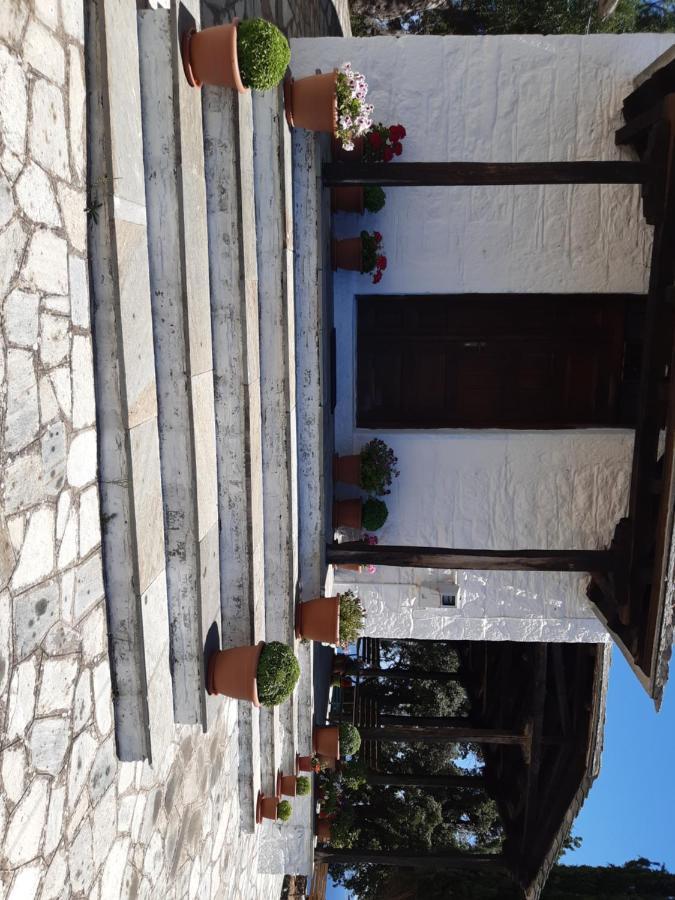 Kouros Villa! Paltsi Pilion Экстерьер фото