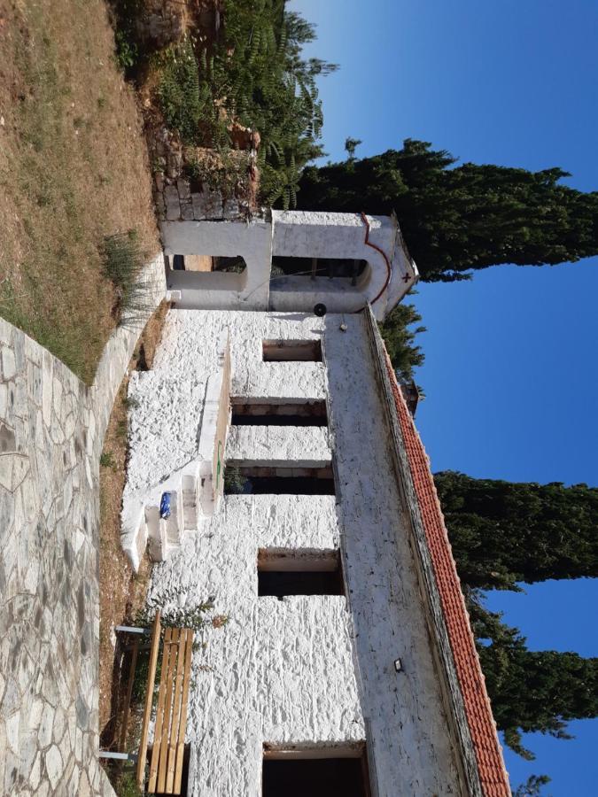 Kouros Villa! Paltsi Pilion Экстерьер фото